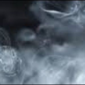 Meet your Posher, Joey